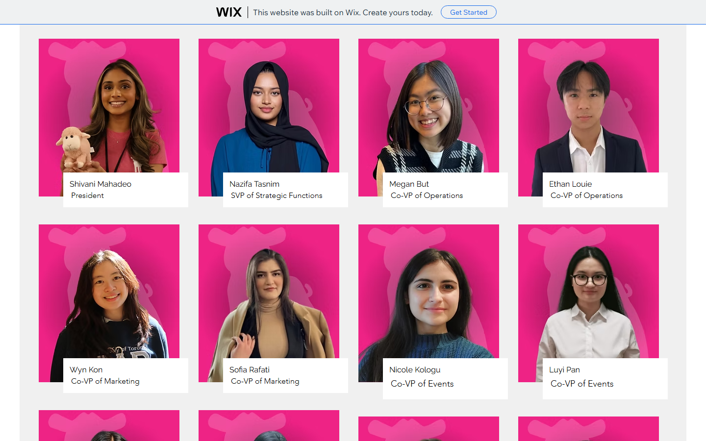 Old Wix team grid screenshot