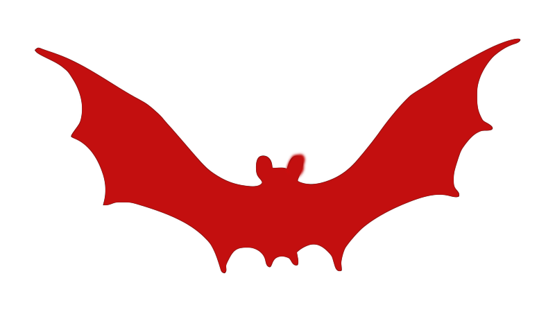 Bat